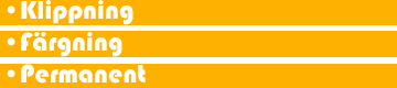 Klippning f&auml;rgning permanent